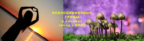 твердый Бугульма