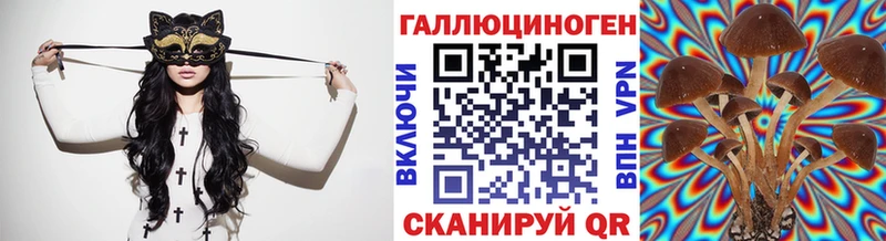 Псилоцибиновые грибы Psilocybine cubensis  где продают   кракен как войти  Цоци-Юрт 