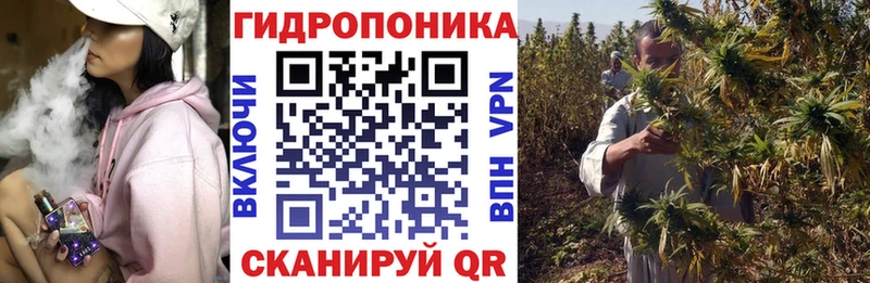 Канабис гибрид Цоци-Юрт