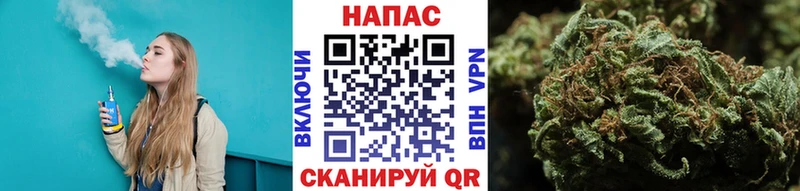 OMG зеркало  Цоци-Юрт  Шишки марихуана конопля 